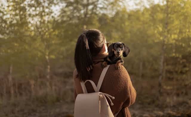 Ballwin, MO pet cremation