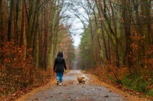 Ballwin, MO pet cremation