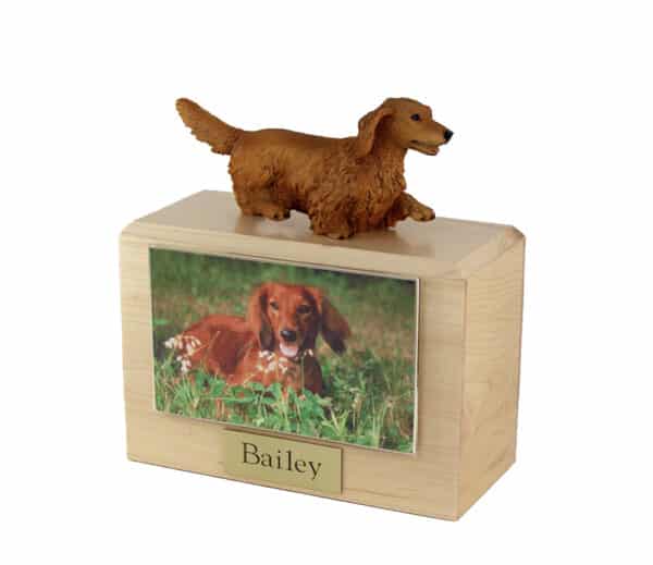 St. Louis, MO pet cremation
