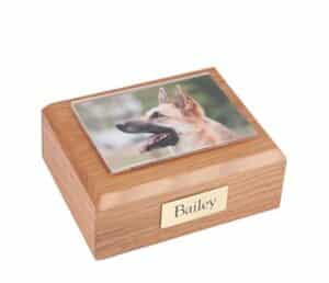 St. Louis, MO pet cremation