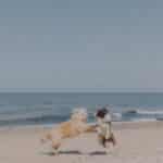 Ballwin, MO pet cremations