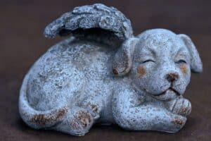 Ballwin, MO pet cremation