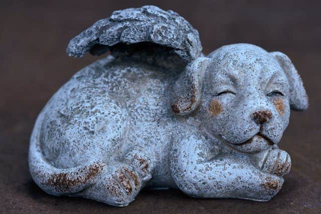 Ballwin, MO pet cremation