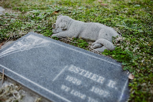 Clayton, MO pet cremation