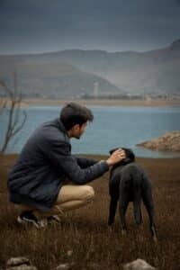 St. Louis, MO pet cremations