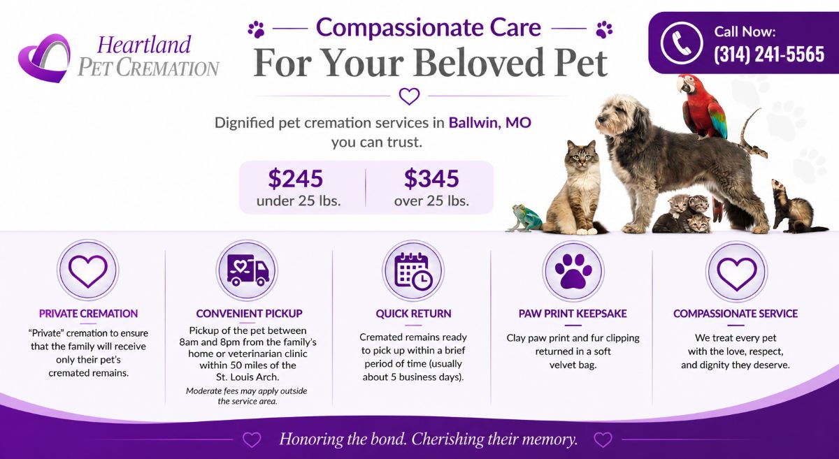 Heartland Pet Cremation infographic featuring private pet cremation, pickup service, paw print keepsakes, and compassionate care in Ballwin, MO.