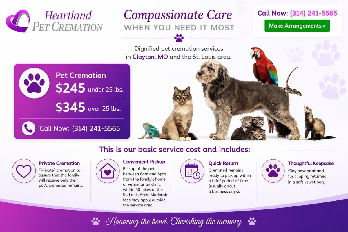 Heartland Pet Cremation infographic featuring compassionate pet cremation services, private cremation, pickup assistance, keepsakes, and support in Clayton, MO.