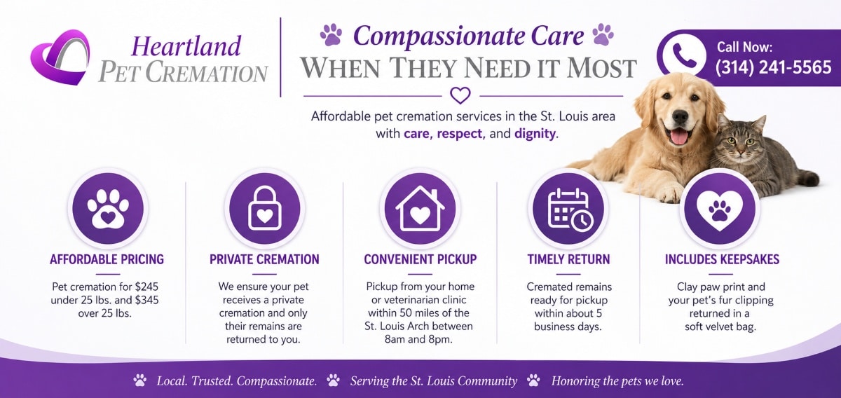 Heartland Pet Cremation infographic featuring affordable pet cremation, private services, pickup options, memorial keepsakes, and St. Louis care.