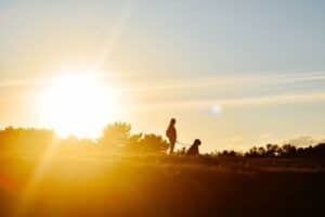 Clayton, MO pet cremation