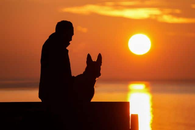 St. Louis, MO pet cremation