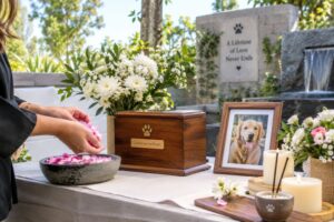 St. Louis, MO pet cremation