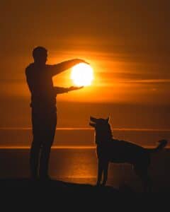 St. Louis, MO pet cremations